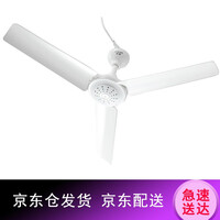 中联(ZOLEE) FD10-50中联吊扇迷你微风扇小吊扇宿舍蚊帐小风扇省电电风扇 风扇