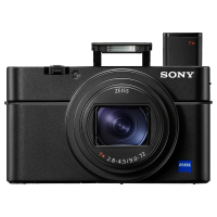 索尼（SONY）DSC-RX100M6 黑卡数码相机 1英寸大底（蔡司24-200mm F2.8-4.5镜头 4K视频 