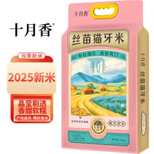 十月香2025当季新米丝苗猫牙米长粒米10斤大米籼米10斤装南方大米丝苗米