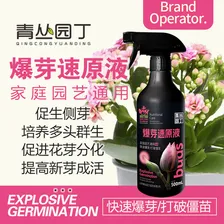 青丛园丁爆芽速原液多芽促芽催芽分化叶插花植物通用型营养液绿植肥料 爆芽速原液500ml*1瓶【常规装】