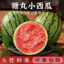 正宗河南2k小糖丸西瓜 手撕薄皮 新鲜水果 现摘直发 小糖丸4-5斤(1-2粒)手撕爆甜小西瓜