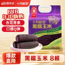 十月稻田 黑糯玉米 8根 3.52斤 真空包装 东北甜粘玉米棒 低脂早餐