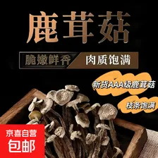 滋养气血鹿茸菇特产脆脆菇无熏新货 500g*2袋
