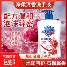 艾可熊水润呵护洗手液抑菌滋润保湿清洁儿童可用家庭装 1瓶（体验装送1个泵头）