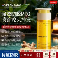 YERENTANG进口侧柏叶防脱洗发水500ml育发固发养密发控油蓬松中草药洗发液