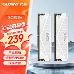 光威（Gloway） DDR4 3600 台式机内存 天策系列-皓月白 16GB(8Gx2)D4 3600 经典马甲