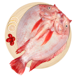 仙泉湖 生态鲷鱼/星洲红鱼 500g