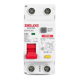 德力西DZ47SLES漏电保护器2P家用1P漏保 3P+N断路器4P空气开关63A 6A 1P+N