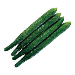 农家刺黄瓜当季新鲜现采摘菜黄瓜天然蔬菜黄瓜脆嫩刺绿黄瓜 净重4斤单根≥200g