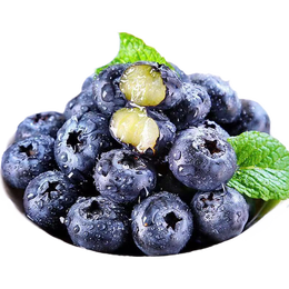 正宗云南高原新鲜采摘蓝莓新鲜水果孕妇宝宝辅食花香蓝莓90-115g 蓝莓小果单果15mm+ 高原蓝莓热卖90-115g*2盒装