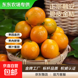 【东东农场专供】广西脆皮金桔纯甜爽口基地直发优选时令蜜桔 脆皮金桔6号果（4-8g/粒） 2斤