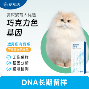 猫舍定制｜宠知因巧克力色基因(颜色鉴定+预判后代颜色) 宠物猫咪基因检测