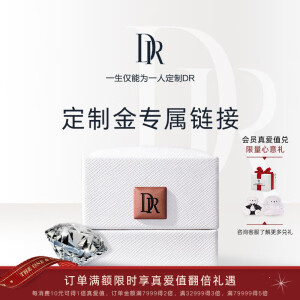 DR品牌定制金 100