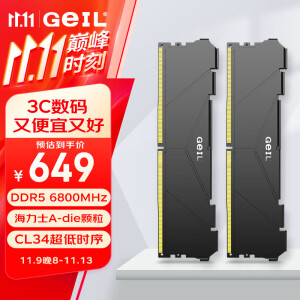 GEIL金邦巨蟹 DDR5内存条 台式机电脑内存条 5代内存条 马甲条 RGB灯条 运行内存 内存条套条 海力士a-die 32G(16GX2)6800黑