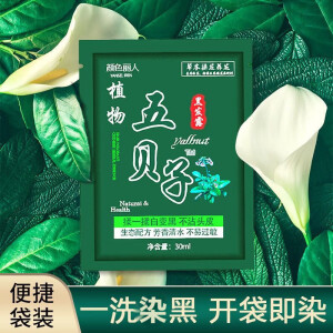 五贝子染发膏袋装健康泡泡黑油理发店盖白发天然清水焗油膏染发膏黑色 五贝子黑色 10袋 30ml