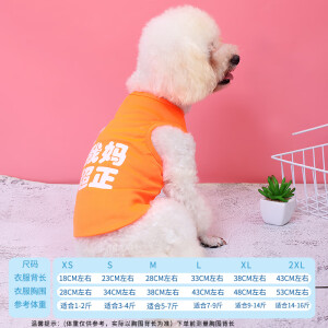 乐乐喵小狗狗衣服小型犬搞笑猫咪比熊法斗博美小型犬夏天夏季背心 我妈超正 XS(1-2斤