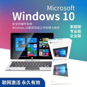 Win10专业版系统激活码Windows10家庭版密钥光盘OEM正版U盘中英文 无发票 Win10专业版系统U盘英文  正版