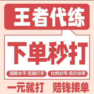 王者荣耀代练排位王者代打段位上星低价打巅峰赛英雄战力金标上分 排位下单专属