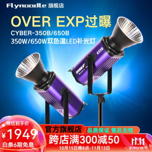 FLYNOODLE飞面OVER EXP过曝650B/350B摄影补光灯专业LED影视灯户外夜景直播间补光大功率650/300w双色温可调 OVER EXP过曝650B双色温单灯【官方标配】