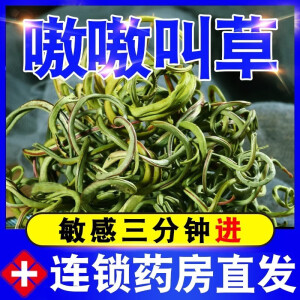 男人茶化石草肾精茶长白山精品野生黄金草嗷嗷叫东北长白山化石草肾精茶 60g【速见效】 270g【如此肾好】