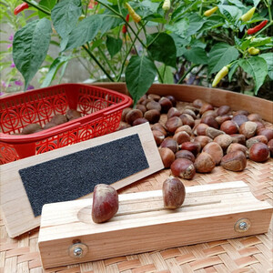 翌玉庭板栗开口器板栗剥壳工具锥栗开口器开生栗子核桃夹刀爪新鲜莲子去壳机栗子工具可换刀片款 京东优惠券 翌玉庭板栗开口器板栗剥壳工具锥栗开口器开生栗子核桃夹刀爪新鲜莲子去壳机栗子工具可换刀片款 京东优惠券