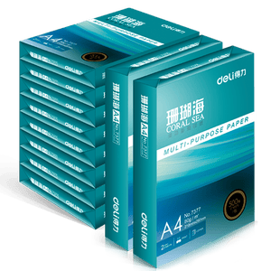 得力（deli）珊瑚海A4打印纸 80g500张*10包一箱 双面使用 加厚复印纸 整箱5000张7430【销冠系列】