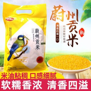 鲸鳄蔚县黄小米2斤/袋蔚州贡米农家新黄小米粥小米饭粗粮米张家口特产 蔚州贡米【5斤装】