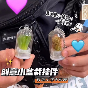 创意小盆栽试管绿色植物迷你多肉钥匙扣挂件仙人掌小礼品送人礼物 随机发