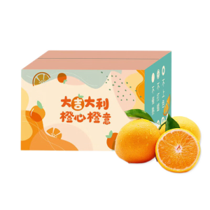 鲜合汇优四川新鲜冻橙柑果子水果冰糖橙子生鲜年货礼盒物品 3斤整箱/60-70mm/净重2.5-2.0斤