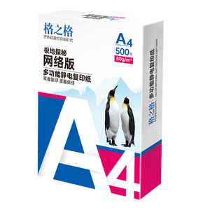 格之格A4纸 80g A4打印纸双面复印纸高性价比畅销款  500张/包 5包1箱【考试考研考公复习】极地探秘