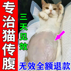 猫传腹猫瘟特效口服药猫腹水宠物提高食欲营养药呕吐干湿性腹膜炎 买二赠一【加强装】