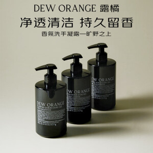 Dew orange露橘香氛磨砂洗手凝露350g 洗手液泡沫清洁保湿留香节日送男女友礼物 旷野之上