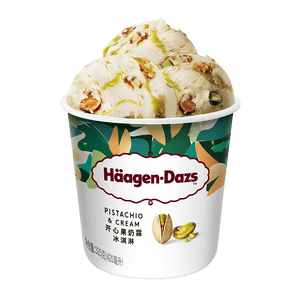 哈根达斯（Haagen-Dazs）开心果奶霜冰淇淋420ml/桶 家庭装 雪糕