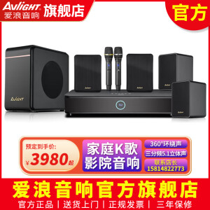 爱浪（Avlight）直播K歌5.1回音壁套装家庭影院音响套装蓝牙环绕影院K歌一体机家用电视唱歌音箱 酷炫黑