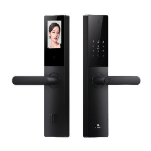 德施曼（DESMAN）智能门锁3D人脸识别大屏猫眼家用指纹密码小嘀V20F