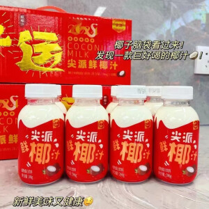 尖派鲜椰汁 鲜榨椰奶椰子果肉含乳饮料孕妇早餐奶246g蛋白饮品整箱 246g*10瓶装