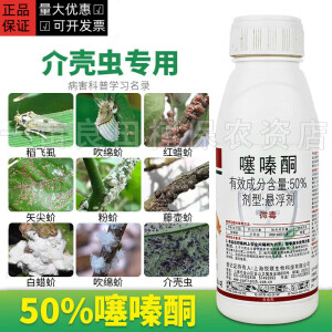 噻嗪酮50% 蚧介壳虫专用药蚧必治柑橘梨树枣树果树农药杀虫剂高效 500g(整箱20瓶)