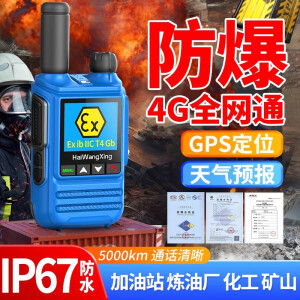 HAIWANGXING防爆防水对讲机双模全国对讲机5000公里5G油田煤矿化工厂天燃气器 HX-968防水防爆【公网对讲】