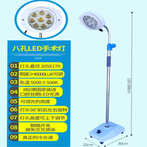 汉魏康 手术无影灯外科照明灯移动医用牙科单孔辅助手术灯手术室整形专用 8孔手术灯（LED光源白光可调）