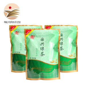 國興（GUOXING）【梅州助农馆】国兴茶业 客家绿茶 明前春茶 国兴绿茶 500g * 1袋