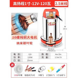 昌磊12V24V48V60V伏直流潜水泵电瓶电动车农用灌溉家用小型抽水机 1寸12V120W2.5米