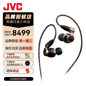 杰伟世（JVC） FW10000 木振膜高解析发烧级HIFI入耳式有线耳机人声木单元耳塞 FW10000【预定】