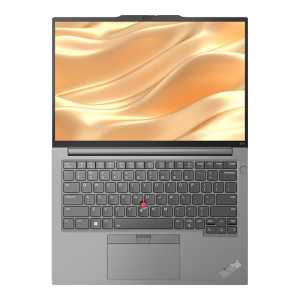 ThinkPad E14 14英寸轻薄便携联想笔记本电脑 酷睿i5-13500H 16G 1T 2.2K 100%sRGB 银 丰富接口