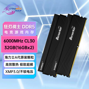 新乐士台式机内存条 32GB(16GBx2)DDR5 6000Mhz C30 黑色 海力士A-die 狂刃战士升级版电竞游戏