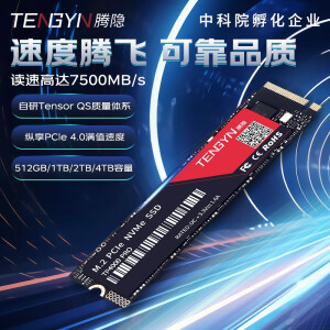 腾隐（TENGYIN）精选长江存储晶圆台式机笔记本SSD固态硬盘Gen4 NVMe TP4000PRO 4TB 读速7500MB/S