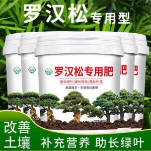 姒桀专用肥造型松树盆景专用有机肥缓释肥通用颗粒复合肥料 罗汉松专 罗汉松专用肥料500克*2桶