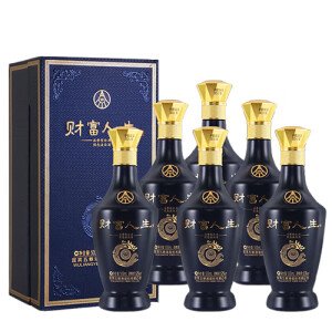 五粮液（WULIANGYE）五粮液财富人生系列 52度浓香型白酒 宴请自饮 52度 500mL 6瓶 财富人生蓝钻