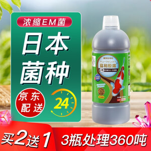 海豚锦鲤鱼药硝化细菌药水锦鲤em菌种原液鱼药益生菌光合细菌水乳酸菌 EN1号 超浓缩NE菌1200ml