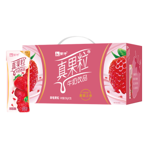 蒙牛真果粒牛奶饮品（草莓）250g×12盒 真实果粒