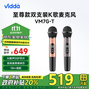 Vidda  海信  麦克风 VM7G-T 海信电视 Vidda电视定制 天籁K歌 无线麦克风 家庭KTV 双支套装